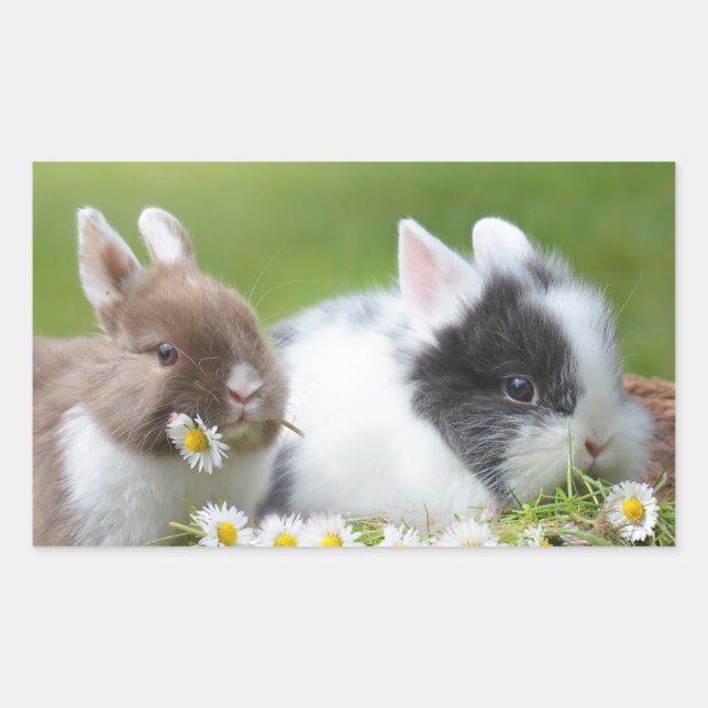 Niedliches Baby Bunny Rabbits mit Blume Rechteckiger Aufkleber (Vorderseite)