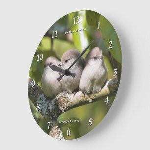 Niedliches Baby Bushtit Songbird im Birnbaum Große Wanduhr