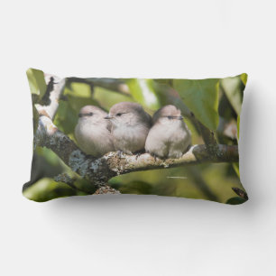 Niedliches Baby Bushtit Songbird im Birnbaum Lendenkissen