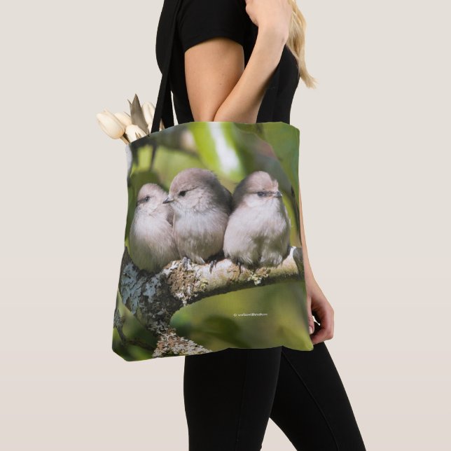 Niedliches Baby Bushtit Songbird im Birnbaum Tasche (Von Nahem)