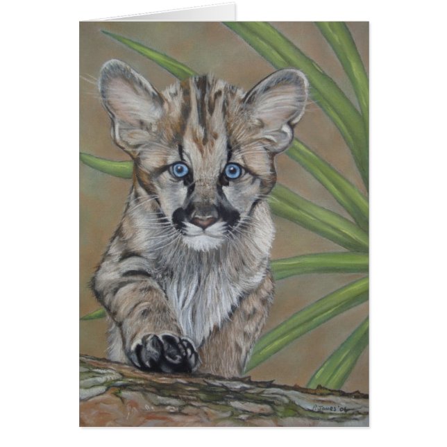 niedliches Baby Cougar Kätzchen Großkatze (Vorne)