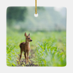 Niedliches Baby Deer Fawn in Gras Naturfotografie Keramikornament