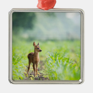 Niedliches Baby Deer Fawn in Gras Naturfotografie Ornament Aus Metall