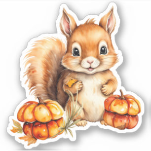 Niedliches Baby Eichhörnchen und kleine Kürbiskins Aufkleber