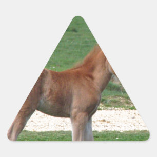 Niedliches Baby Foal Destinable Geschenke Springti Dreieckiger Aufkleber