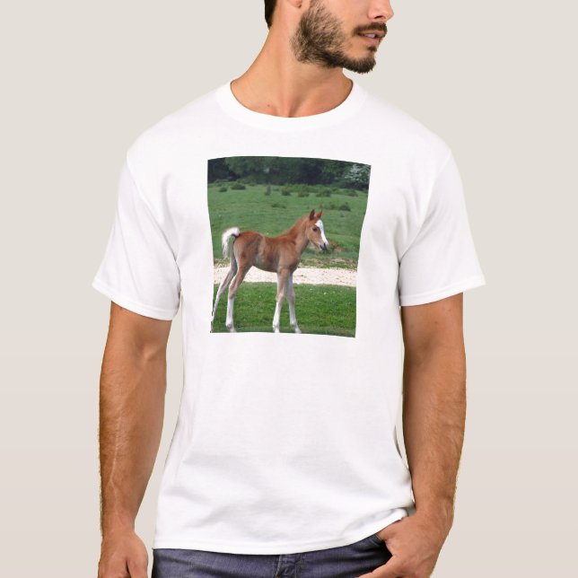 Niedliches Baby Foal Destinable Geschenke Springti T-Shirt (Vorderseite)