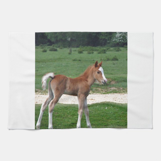 Niedliches Baby-Fohlen-Schicksals-Geschenk-Frühjah Geschirrtuch (Horizontal)