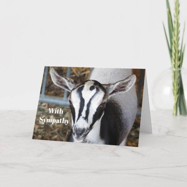 Niedliches Baby Goat Foto Beileid Karte (Vorderseite)