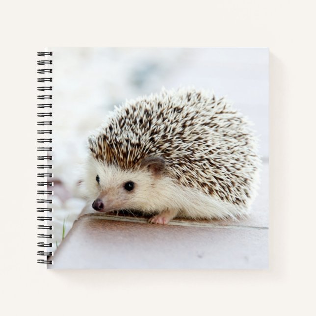 Niedliches Baby-Igel-Notebook Notizbuch (Vorderseite)