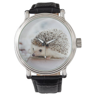 Niedliches Baby Igel Tier Armbanduhr