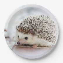 Niedliches Baby-Igel Tier