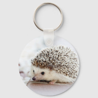 Niedliches Baby Igel Tier Schlüsselanhänger