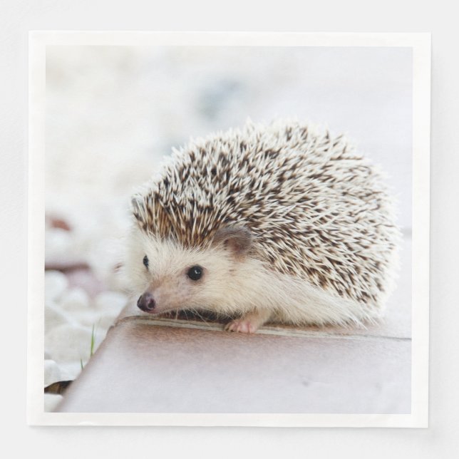 Niedliches Baby Igel Tier Serviette (Vorderseite)