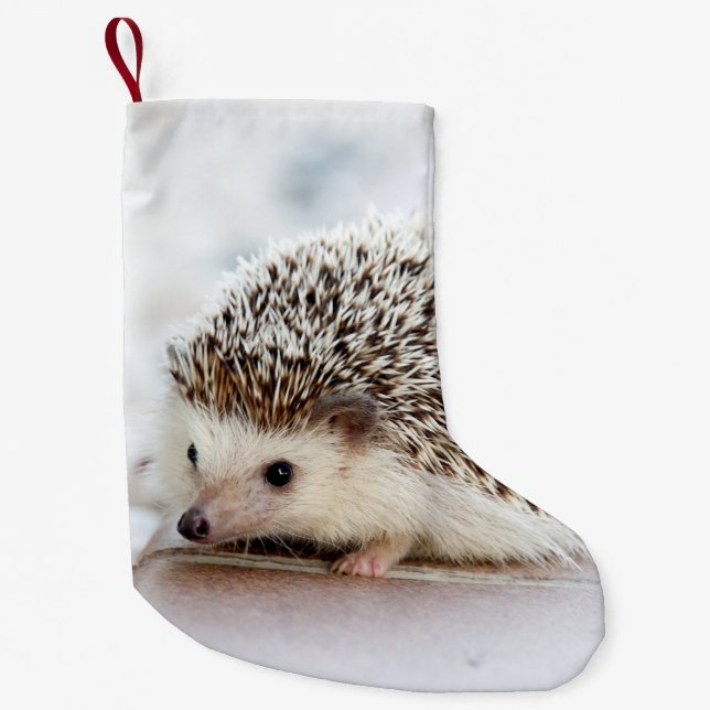 Niedliches Baby-Igels-Tier Kleiner Weihnachtsstrumpf (Vorderseite)