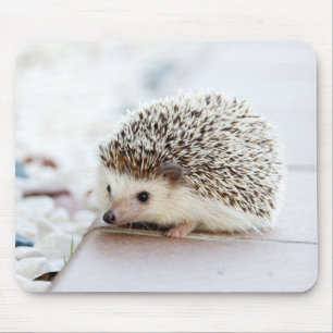 Niedliches Baby-Igels-Tier Mousepad