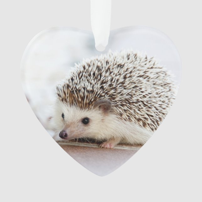 Niedliches Baby-Igels-Tier Ornament (Vorderseite)