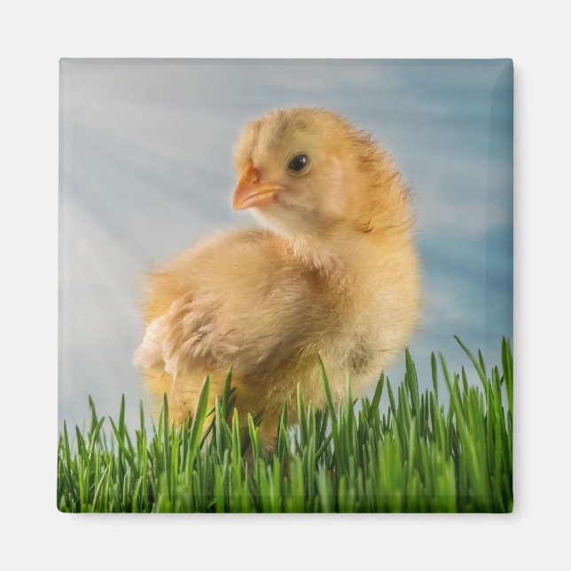 Niedliches Baby-Kick im Gras mit Sunbeam-Foto Magnet (Vorne)