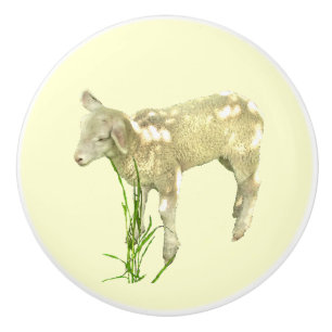 Niedliches Baby Lamb auf gelber Keramik Keramikknauf
