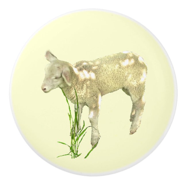 Niedliches Baby Lamb auf gelber Keramik Keramikknauf (Vorderseite)