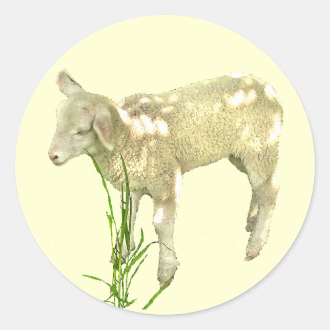 Niedliches Baby Lamm auf Gelben Aufklebern Runder Aufkleber (Vorderseite)