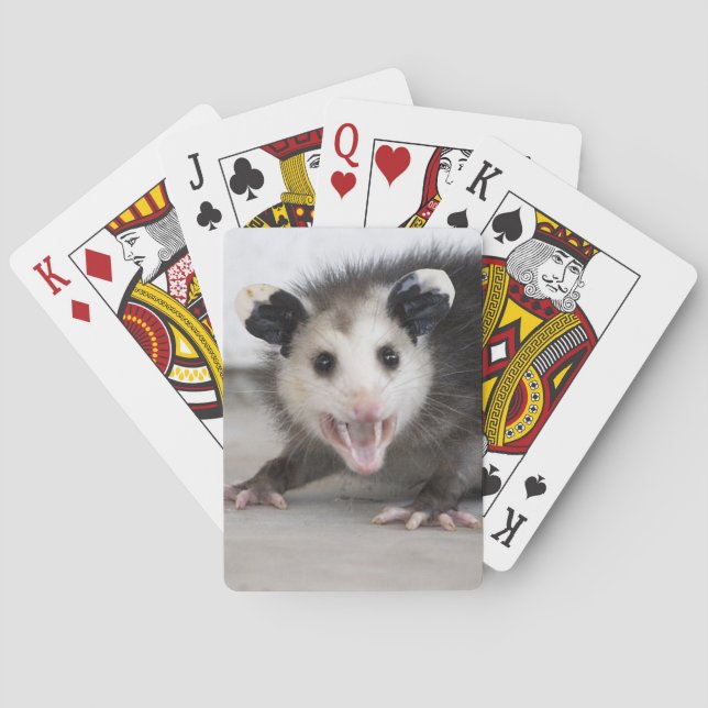 Niedliches Baby Opossum Foto Spielkarten (Rückseite)