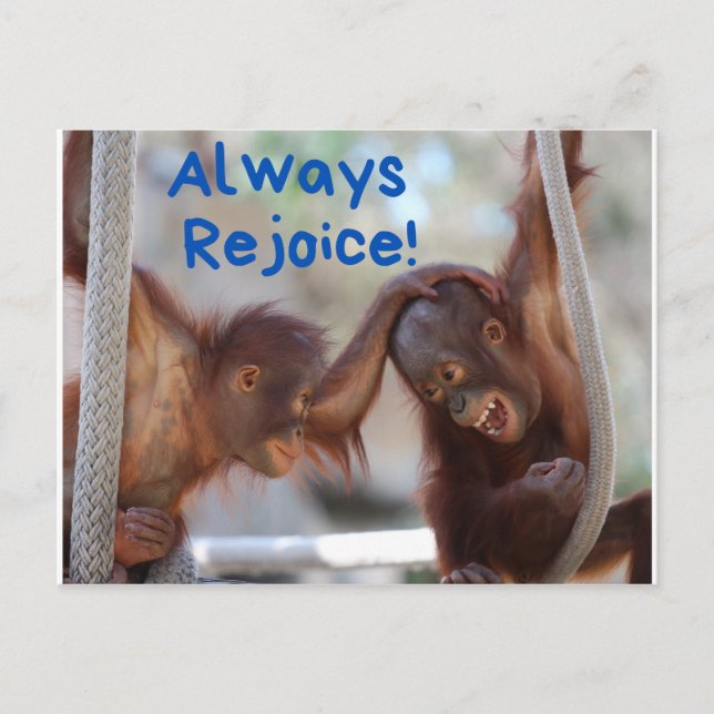 Niedliches Baby Orangutan freut sich immer Postkarte (Vorderseite)