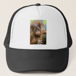 Niedliches Baby Orangutan mit Blick nach vorne Truckerkappe