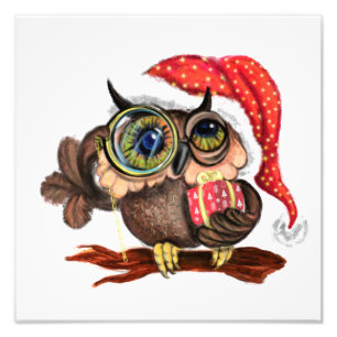 Niedliches Baby Owl in Weihnachtshut und Geschenk Fotodruck