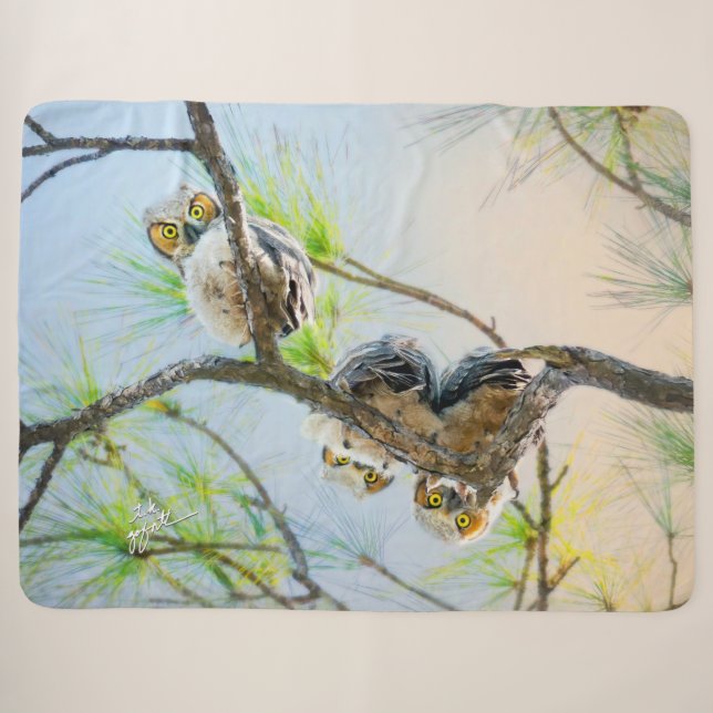 Niedliches Baby Owls Great Horned Wildlife Sherpadecke (Vorderseite (Horizontal))