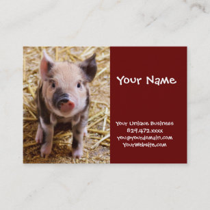 Niedliches Baby Piglet Farm Animals Barnyard Babys Visitenkarte