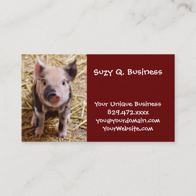 Niedliches Baby Piglet Farm Animals Barnyard Babys Visitenkarte (Vorderseite)