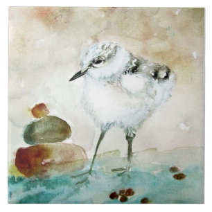 Niedliches Baby Plover Keramik Küche Tile Fliese