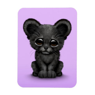 Niedliches Baby-schwarzer Panther CUB auf Lila Magnet