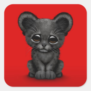 Niedliches Baby-schwarzer Panther CUB auf Rot Quadratischer Aufkleber