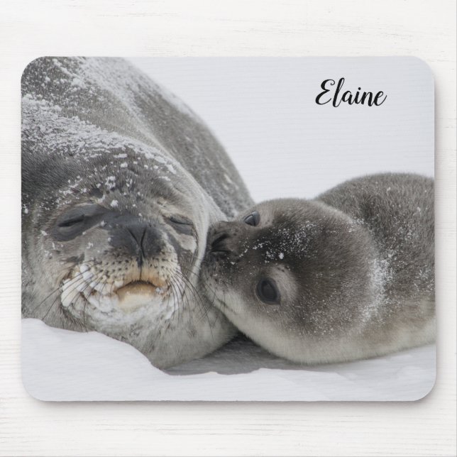 Niedliches Baby-Siegel und Mama Personalisierte Ma Mousepad (Vorne)
