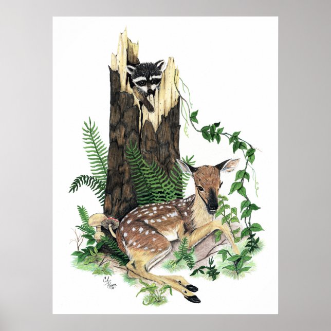 Niedliches Baby Whitetail Deer Fawn und Raccoon Pr Poster (Vorne)