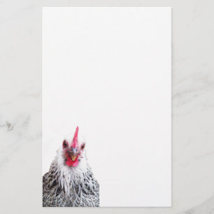 Niedliches Bantam Cochin Hen Foto Papier