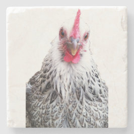 Niedliches Bantam Cochin Huhn Foto Stein Untersetz Steinuntersetzer