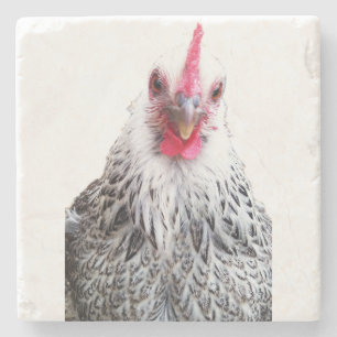 Niedliches Bantam Cochin Huhn Foto Stein Untersetz Steinuntersetzer