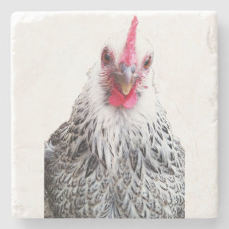 Niedliches Bantam Cochin Huhn Foto Stein Untersetz Steinuntersetzer