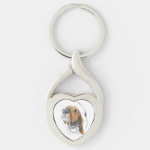 Niedliches Basset Hound Nah Up Liebe