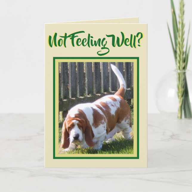 Niedliches "Basset Hound" W/Daisy auf "Get Well"-K Karte (Vorderseite)