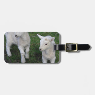 Niedliches Bauernhof-Ranch-Baby paart Schaf-Lamm Gepäckanhänger