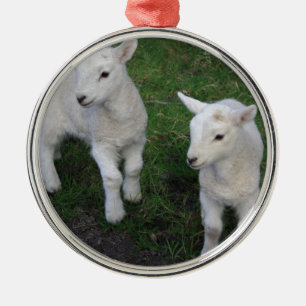 Niedliches Bauernhof-Ranch-Baby paart Schaf-Lamm Ornament Aus Metall