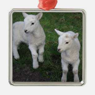 Niedliches Bauernhof-Ranch-Baby paart Schaf-Lamm Ornament Aus Metall