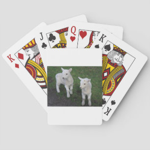 Niedliches Bauernhof-Ranch-Baby paart Schaf-Lamm Spielkarten
