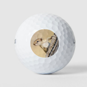 Niedliches Baumeichhörnchen-Foto Golfball