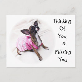 Niedliches, bedrucktes Chihuahua-Mädchen Postkarte