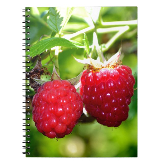 Niedliches Beeren Foto Himbeeren BlackBerry Obst Notizblock (Vorderseite)