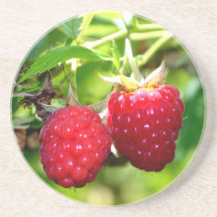 Niedliches Beeren Foto Himbeeren BlackBerry Obst Sandstein Untersetzer